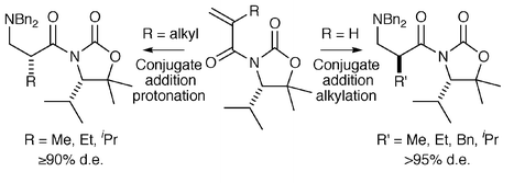 Graphical abstract: Asymmetric synthesis of 2-alkyl- and 2-aryl-3-aminopropionic acids (β2-amino acids) from (S)-N-acryloyl-5,5-dimethyloxazolidin-2-one SuperQuat derivatives