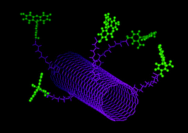 Graphical abstract: Biomedical applications of functionalised carbon nanotubes