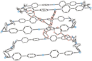 Graphical abstract: A novel two-fold interpenetrating 3D 42.84 network self-assembled from a new 1D coordination polymer