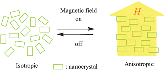 Graphical abstract: Reversible and efficient anisotropic orientation of dispersed aromatic hydrocarbon nanocrystals in a magnetic field