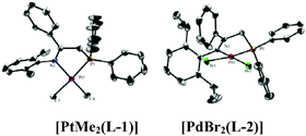 Graphical abstract: New group 10 complexes of the bulky iminophosphine ligands [Ph2PCH2C(Ph) [[double bond, length as m-dash]] N(2,6-R2C6H3)], where R = Me, iPr