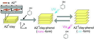 Graphical abstract: Photoregulation of the intercalation behavior of phenol for azobenzene–clay intercalation compounds