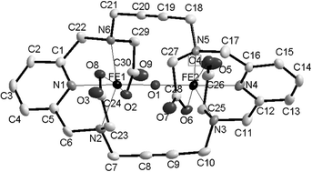 Graphical abstract: Synthesis of a novel dinucleating aminocarboxylate macrocycle and structures of its dinuclear complexes with di- and trivalent transition and lanthanide metal ions