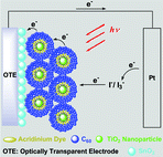 Graphical abstract: Organization of supramolecular assembly of 9-mesityl-10-carboxymethylacridinium ion and fullerene clusters on TiO2 nanoparticles for light energy conversion