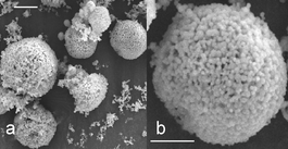 Graphical abstract: The formation of gigantic hollow silica spheres from an EO76–PO29–EO76/butanol/ethanol/H2O quaternary system