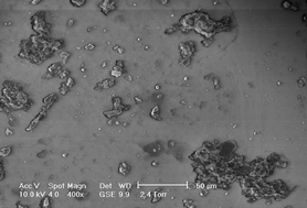 Graphical abstract: Visualisation of natural aquatic colloids and particles – a comparison of conventional high vacuum and environmental scanning electron microscopy