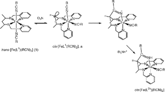 Graphical abstract: Mechanism of formation of iron(ii) complexes with pentadentate ligands via C–C bond formation between trans-[Fe(2,4-bis(2-pyridylmethylimino)pentane)(MeCN)2][ClO4]2·MeCN and various nitriles