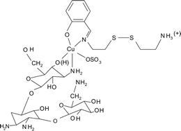 Graphical abstract: Synthetic analogue approach for the functional domains of copper(ii) bleomycins and its DNA cleavage activity