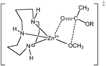 Graphical abstract: Metal ion promoted transesterifications of carboxylate esters. A structure/activity study of the efficacy of Zn2+ and La3+ to catalyze the methanolysis of some aryl and aliphatic esters