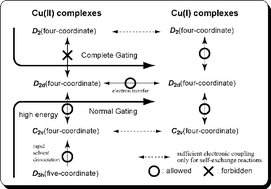 Graphical abstract: Syntheses, structural analyses and redox kinetics of four-coordinate [CuL2]2+ and five-coordinate [CuL2(solvent)]2+ complexes (L = 6,6′-dimethyl-2,2′-bipyridine or 2,9-dimethyl-1,10-phenanthroline): completely gated reduction reaction of [Cu(dmp)2]2+ in nitromethane