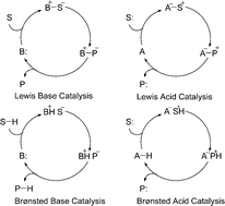 Graphical abstract: Asymmetric organocatalysis