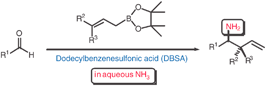 Graphical abstract: α-Aminoallylation of aldehydes in aqueous ammonia