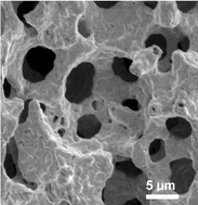 Graphical abstract: New approaches to the synthesis of macroporous metals