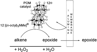 Graphical abstract: Highly efficient recycling of a “sandwich” type polyoxometalate oxidation catalyst using solvent resistant nanofiltration