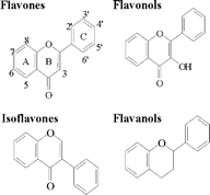 Graphical abstract: Contrasting action of flavonoids on phototoxic effects induced in human skin fibroblasts by UVA alone or UVA plus cyamemazine, a phototoxic neuroleptic