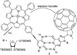 Graphical abstract: Synthesis and photophysics of a porphyrin–fullerene dyad assembled through Watson–Crick hydrogen bonding