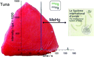 Graphical abstract: SI-traceable certification of methylmercury amount content in a tuna material