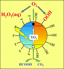 Graphical abstract: Sustained production of H2O2 on irradiated TiO2 – fluoride systems