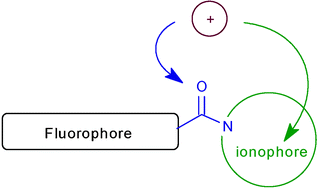 Graphical abstract: About the use of an amide group as a linker in fluoroionophores: competition between linker and ionophore acting as chelating groups