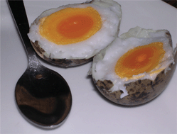 Graphical abstract: Gull eggs—food of high organic pollutant content?