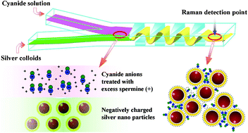 Graphical abstract: Ultra-sensitive trace analysis of cyanide water pollutant in a PDMS microfluidic channel using surface-enhanced Raman spectroscopy