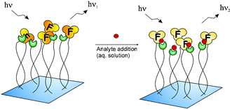 Graphical abstract: A combinatorial approach to surface-confined cation sensors in water