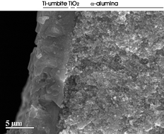 Graphical abstract: A new titanosilicate umbite membrane for the separation of H2