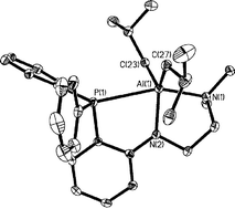 Graphical abstract: Organoaluminium complexes incorporating an amido phosphine chelate with a pendant amine arm