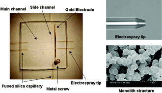 Graphical abstract: A polymeric microchip with integrated tips and in situ polymerized monolith for electrospray mass spectrometry