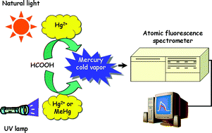 Graphical abstract: Photo-induced chemical vapor generation with formic acid for ultrasensitive atomic fluorescence spectrometric determination of mercury: potential application to mercury speciation in water