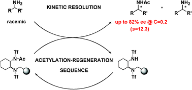 Graphical abstract: Unprecedented, fully recyclable, solid-supported reagent for the kinetic resolution of racemic amines through enantioselective N-acetylation