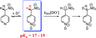 Graphical abstract: Carbon acidity of the α-pyridinium carbon of a pyridoxamine analog