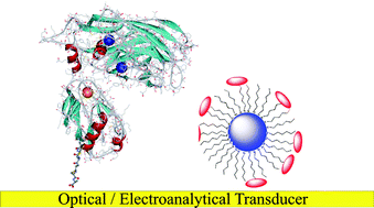 Graphical abstract: Interfacial sensing: surface assembled molecular receptors
