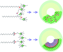 Graphical abstract: Highly-controlled synthesis of organic layers on mesoporous silica: their structure and application to toxic ion adsorptions