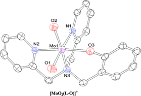 Graphical abstract: Synthesis and characterization of molybdenum oxo complexes of two tripodal ligands: reactivity studies of a functional model for molybdenum oxotransferases