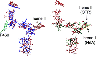 Graphical abstract: Multi-heme cytochromes—new structures, new chemistry