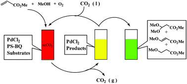 Graphical abstract: PS–BQ: an efficient polymer-supported cocatalyst for the Wacker reaction in supercritical carbon dioxide