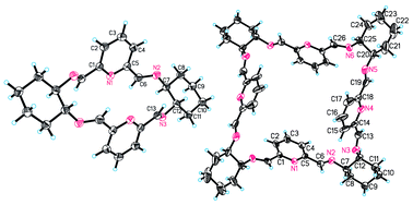 Graphical abstract: New 2+2, 3+3 and 4+4 macrocycles derived from 1,2-diaminocyclohexane and 2,6-diformylpyridine