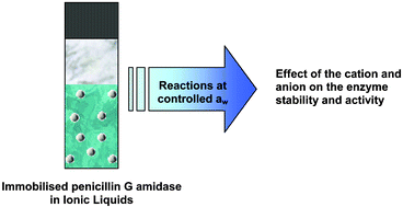 Graphical abstract: Stability and activity of immobilised penicillin G amidase in ionic liquids at controlled aw