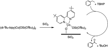 Graphical abstract: Liquid-phase oxidation of alkylaromatics by a H-atom transfer mechanism with a new heterogeneous CoSBA-15 catalyst