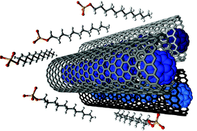 Graphical abstract: Noncovalent interactions of molecules with single walled carbon nanotubes
