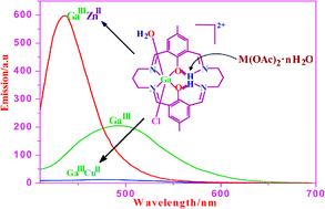Graphical abstract: Mononuclear Aliii, Gaiii and Iniii, and heterodinuclear GaiiiMii (M = Zn, Cu, Ni, Co) complexes of a tetraiminodiphenol macrocyclic ligand