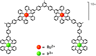 Graphical abstract: Two-color luminescence from a tetranuclear Ir(iii)/Ru(ii) complex