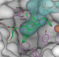 Graphical abstract: Structure-based design of imidazole-containing peptidomimetic inhibitors of protein farnesyltransferase