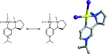 Graphical abstract: Catalytically active palladium pyridylidene complexes: pyridinium ionic liquids as N-heterocyclic carbene precursors