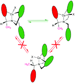 Graphical abstract: Conformational dynamics of Cu(i) complexes of tripodal ligands: steric control of molecular motion