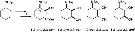 Graphical abstract: Ammonium directed dihydroxylation of N,N-dibenzylaminocyclohex-2-ene: metal-free syntheses of the diastereoisomers of 3-dibenzylamino-1,2-dihydroxycyclohexane