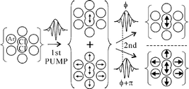 Graphical abstract: Pump–probe spectroscopy with phase-locked pulses in the condensed phase: decoherence and control of vibrational wavepackets