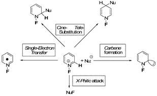 Graphical abstract: Chemistry of N-fluoropyridinium salts