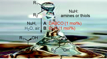 Graphical abstract: Tertiary amines as highly efficient catalysts in the ring-opening reactions of epoxides with amines or thiols in H2O: expeditious approach to β-amino alcohols and β-aminothioethers